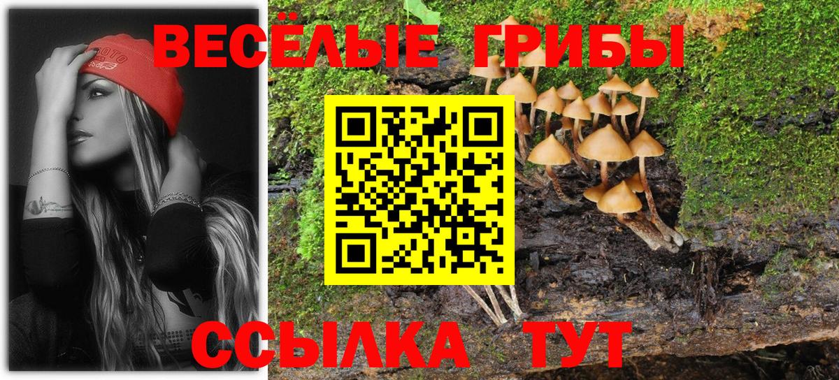 Кириши  Галлюциногенные грибы MAGIC MUSHROOMS  Вход с VPN 