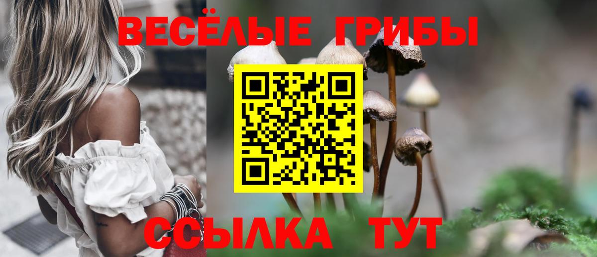 Псилоцибиновые грибы прущие грибы Кириши